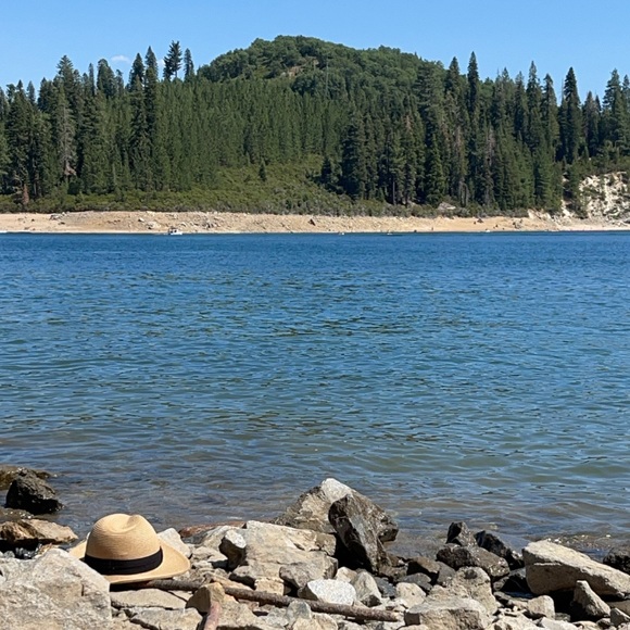 Meet your Posher, Vee - Picture 1 of 1